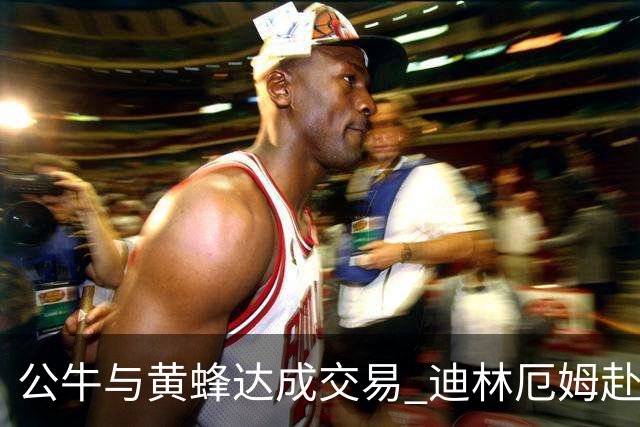 公牛与黄蜂达成交易 迪林厄姆赴夏洛特希尔德加盟